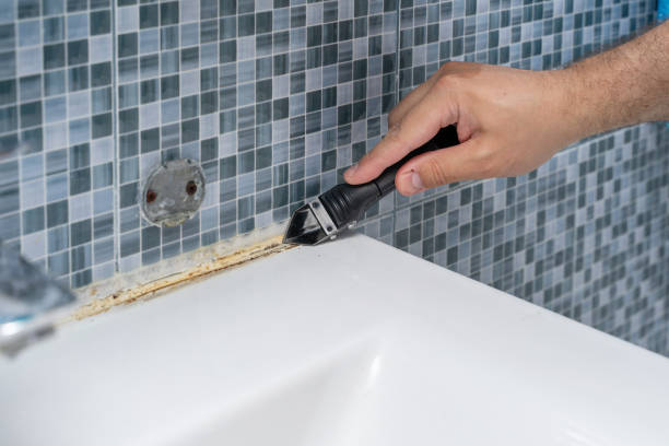 Best Office Mold Removal Services  in Edwards, CO